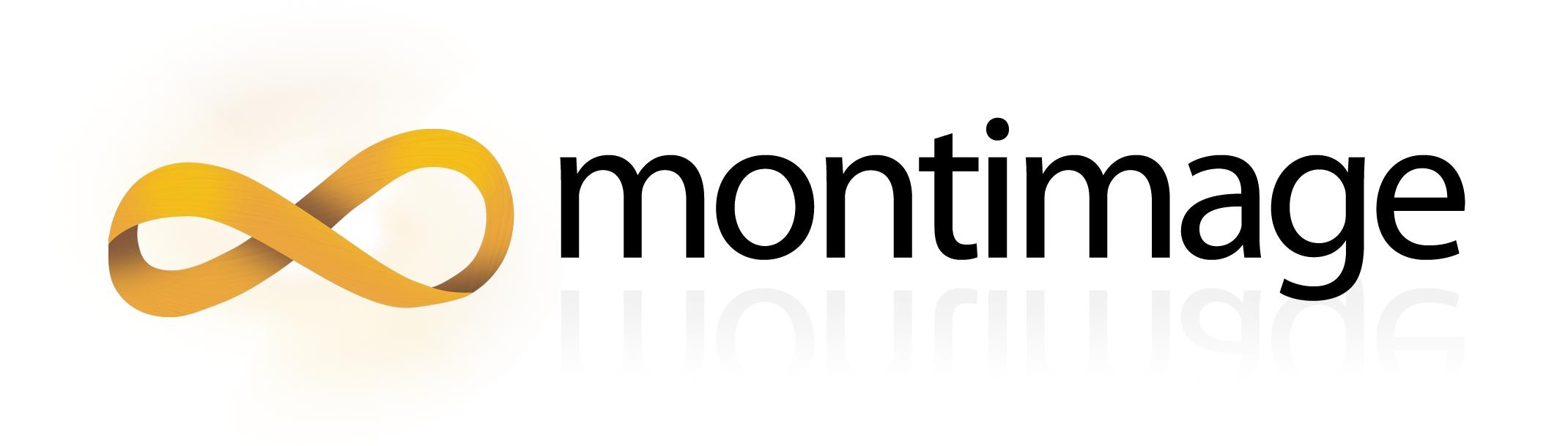 Montimage Logo